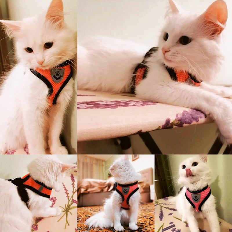 Adjustable Cat Harness Vest with Leash – Breathable Mesh for Small to Medium Pets – Reflective and Quick-Release Design