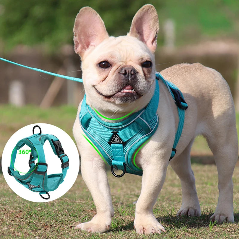 Adjustable Reflective Mesh Dog Harness and Leash Set – No-Pull Vest for Small to Large Dogs & Cats