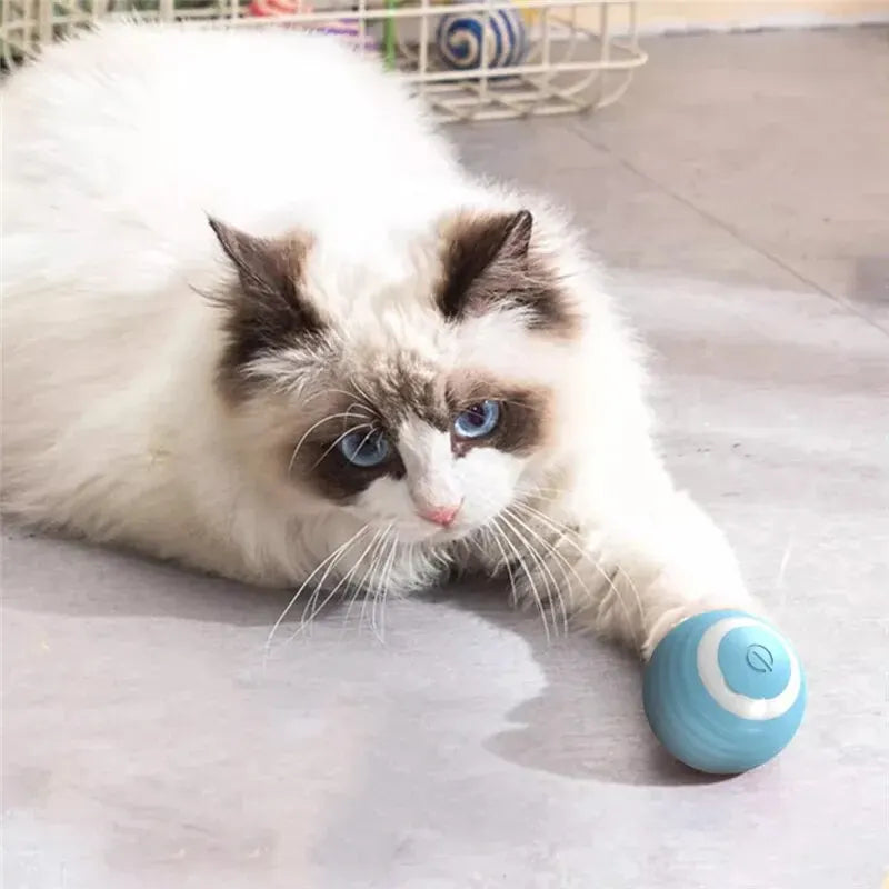 Smart Cat Interactive Ball – Self-Moving Electric Toy for Kittens – Automatic Rolling Magic Ball with Rechargeable Battery