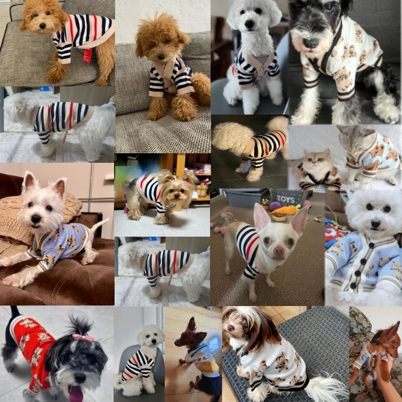 Winter Striped Dog Sweater – Soft Knitted Cardigan for Chihuahua, Small Dogs & Cats, Warm Fashionable Pet Coat