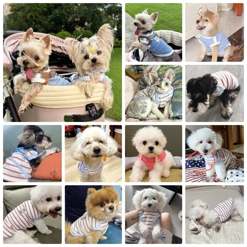 Striped Pet Vest – Comfortable Breathable Summer Dog Clothes, Puppy Shirt, Cat Vest Pullover for Small Pets