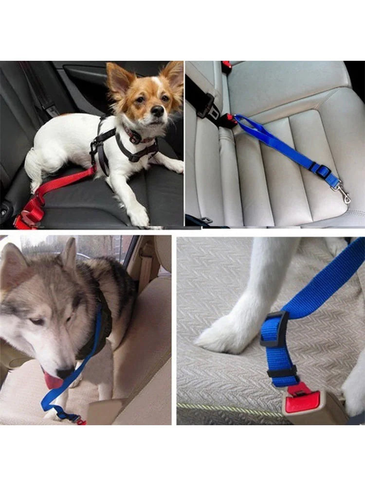 Adjustable Pet Dog Safety Rope – Car Mounted Traction Belt for Dogs (Nylon, Multiple Colors)